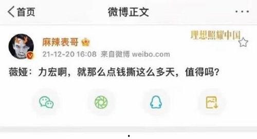 娱乐吃瓜趣闻百度云网盘,吃瓜趣闻大汇总，百度云网盘免费分享