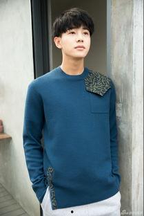 刘剑羽八卦,揭秘明星背后的故事与争议